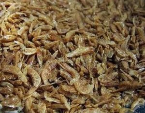 dried crayfish