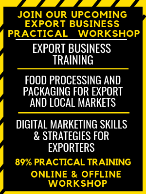 export business training